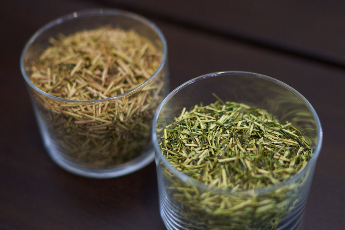 Raw green tea leaves and roasted hōjicha tea leaves.